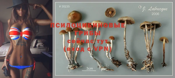 МДПВ Саяногорск