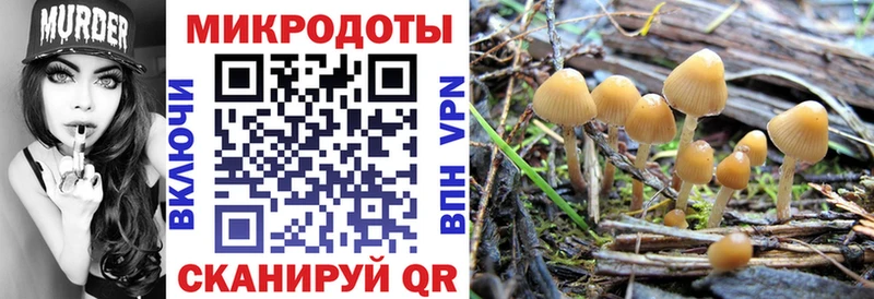 Псилоцибиновые грибы Psilocybine cubensis  Белинский 